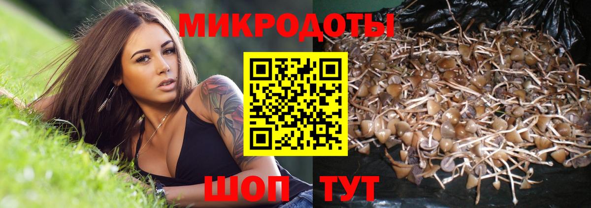 Коркино  Псилоцибиновые грибы MAGIC MUSHROOMS  Вход с VPN  Псилоцибиновые грибы ЛСД 